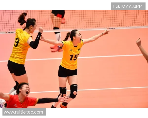 深入分析上海排球队阵地战战术与技巧的独特之处