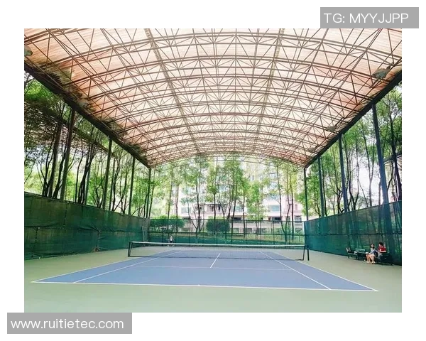 重庆网球队在钻石联赛中的崛起与成长历程全景回顾