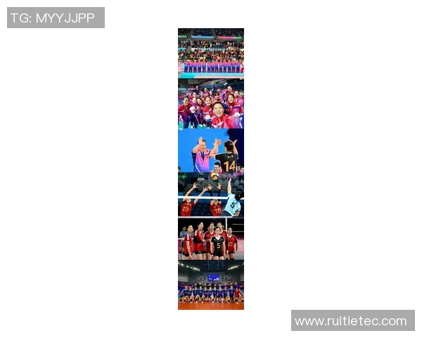 上海排球队荣登排球灵活性排行榜第一名展现卓越实力与团队配合 上海排球队荣登排球灵活性排行榜第一名展现卓越实力与团队配合