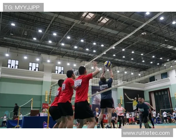 成都排球队的拼搏历程与荣耀时刻全景回顾